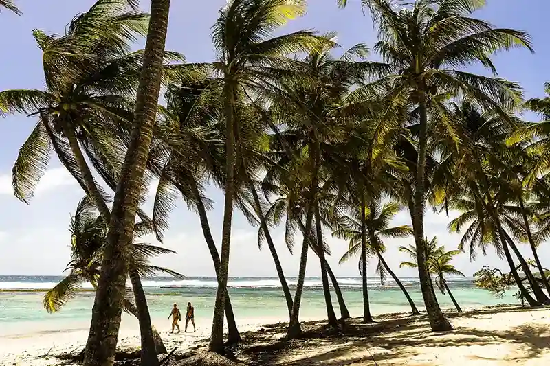Pointe à Pitre