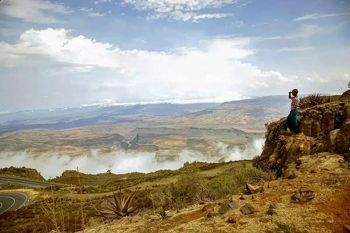 Addis
